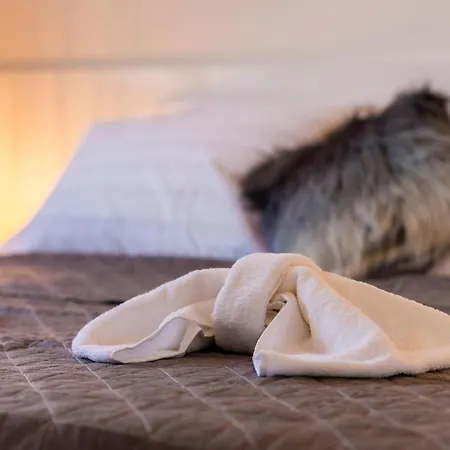 Alius Deluxe Ii * דוברובניק