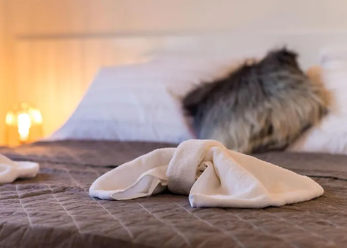 Alius Deluxe Ii * Dubrovník